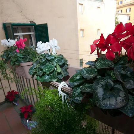 Apartment Magenta Luxury Purificazione Rome